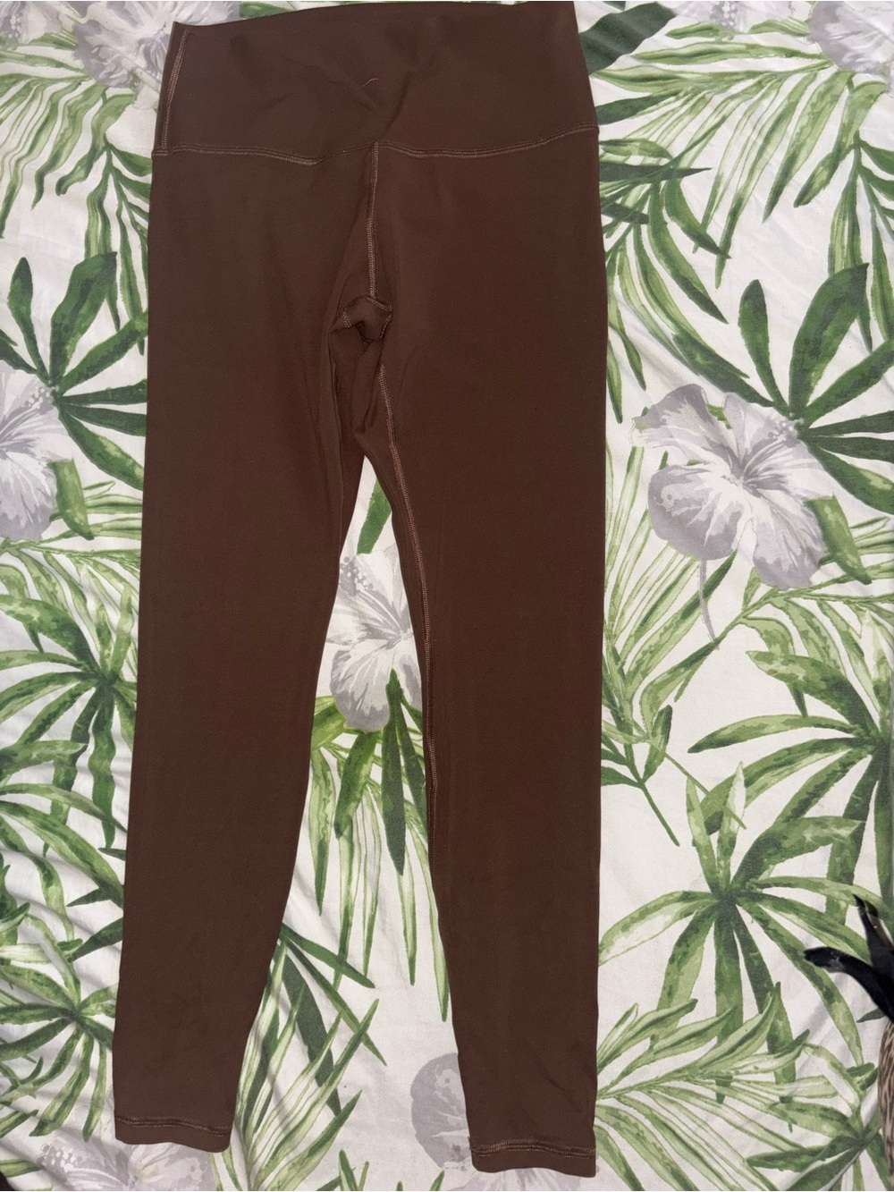 Men's Brown Athletic Stretch Pants